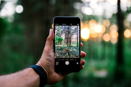 selective focus photo of person taking photo of trees during daytime photo