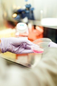 person holding round clear container photo