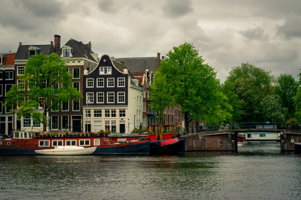 Amsterdam, Netherl, Greenery photo
