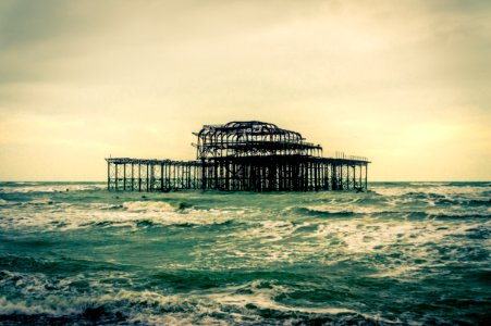 Brighton, United kingdom, Seaweed photo