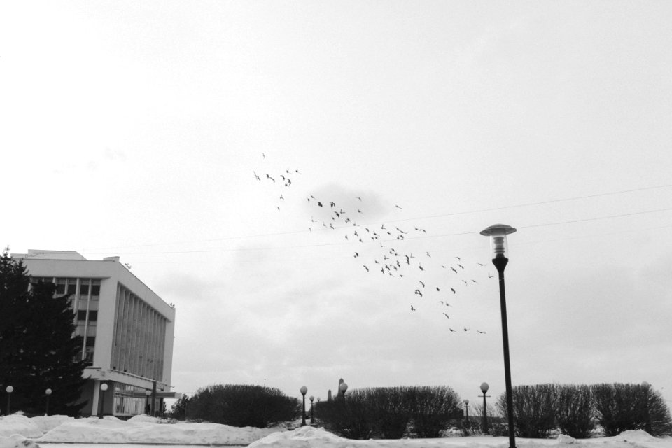 Tomsk, Russia, Streets
