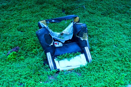 Contamination, Armchair, World
