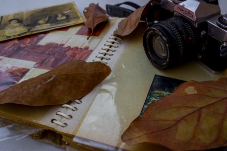 Vintage, Leaf, Album photo