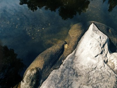 Mangles river, New zeal, Rocks