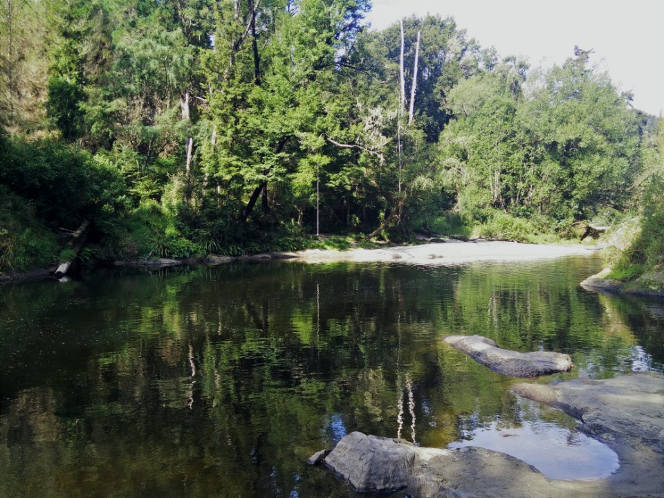 Mangles river, New zeal, In new zeal