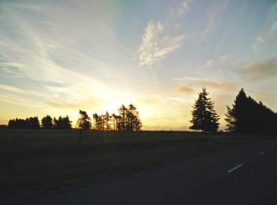 Sky, Sunset, Trees photo