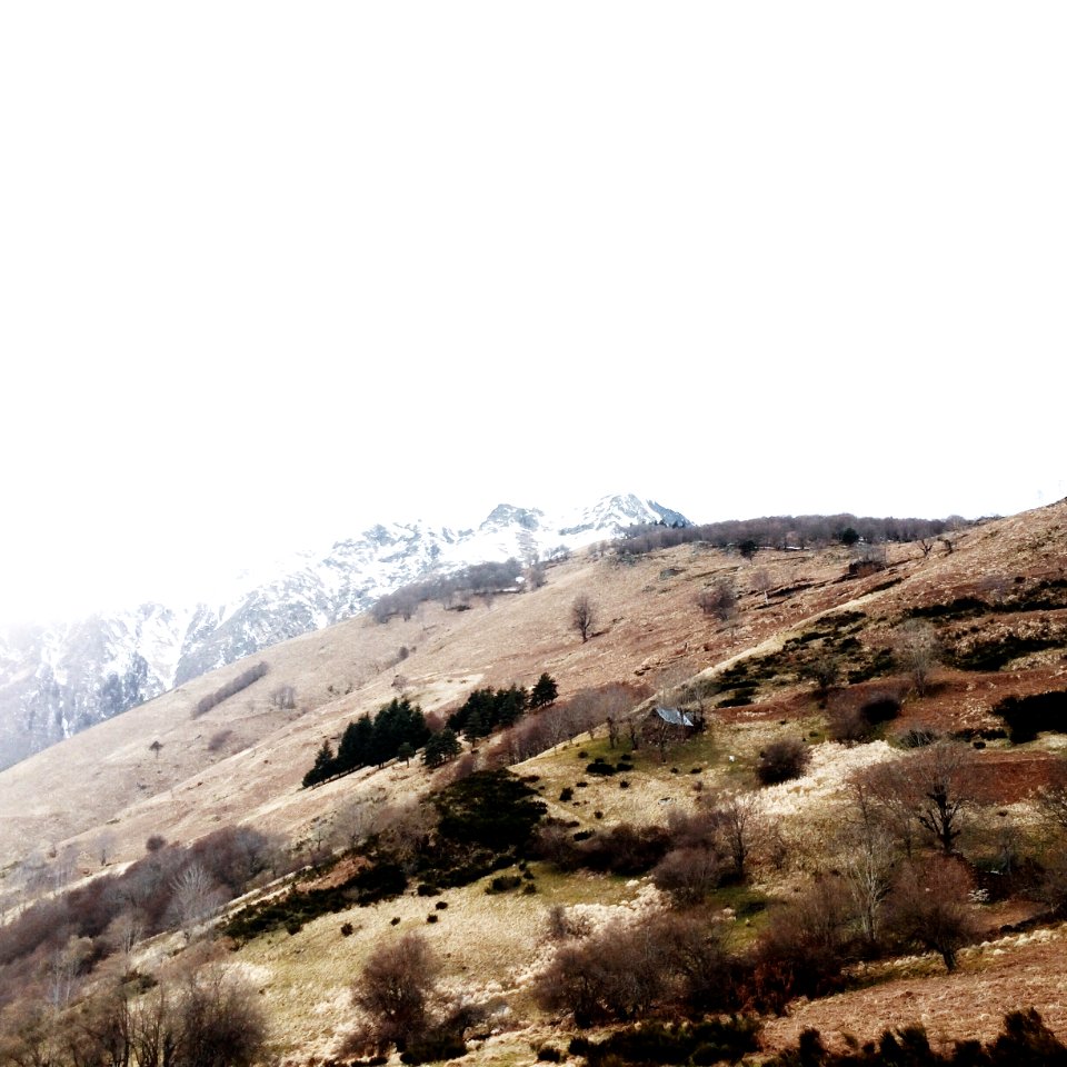 brown mountain with trees during day time