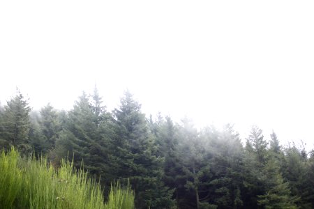 Montseny, Spain, Mountain