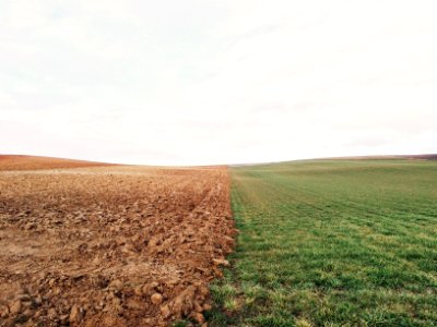 green grass field and brown soil photo