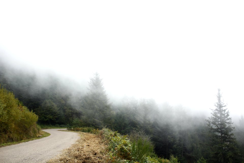 Montseny, Spain, Fog