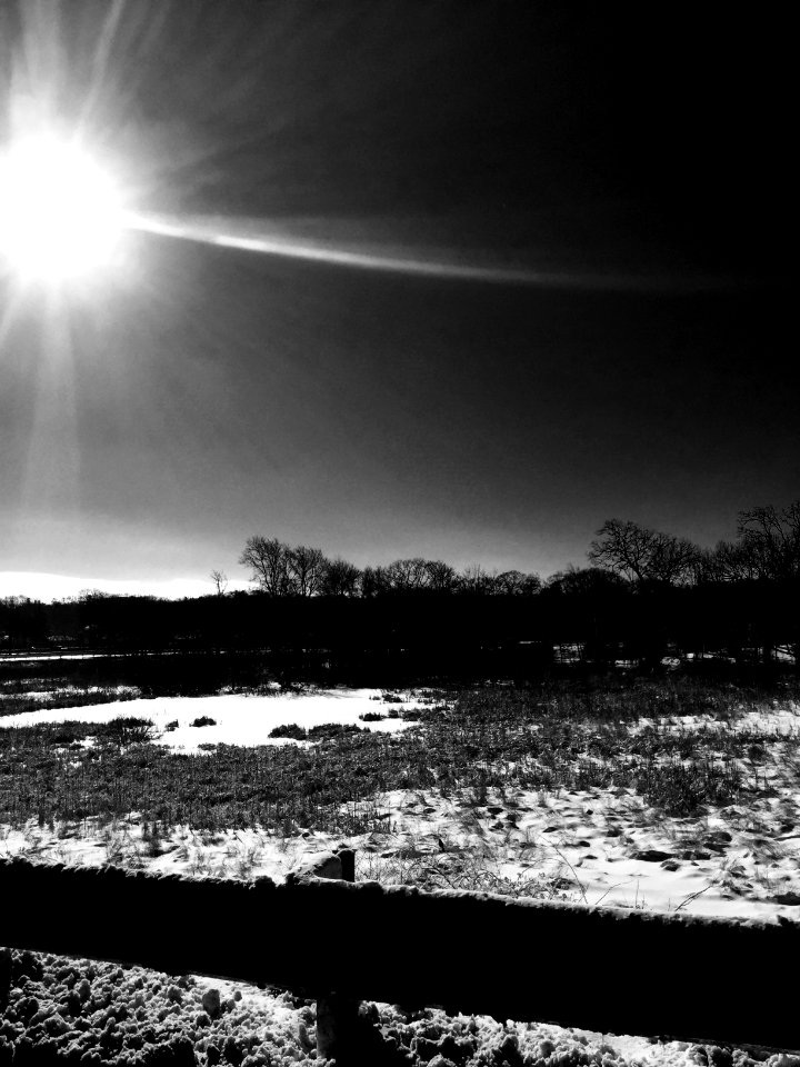 Sunday, Cold, Winter