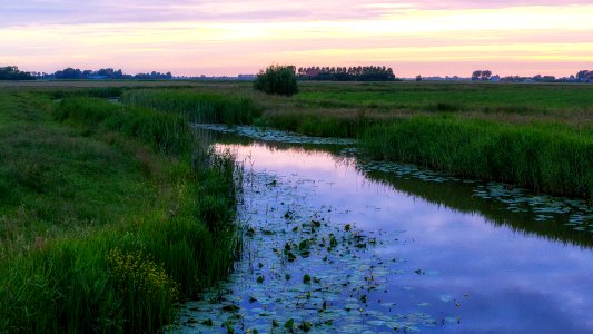 Skrok, Wommels, Netherl