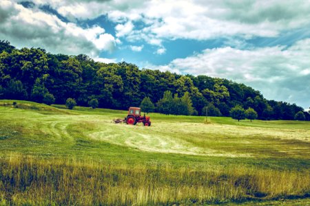 red tractor on green grass field photo