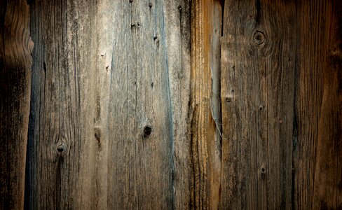 Washed off wooden structure grain photo