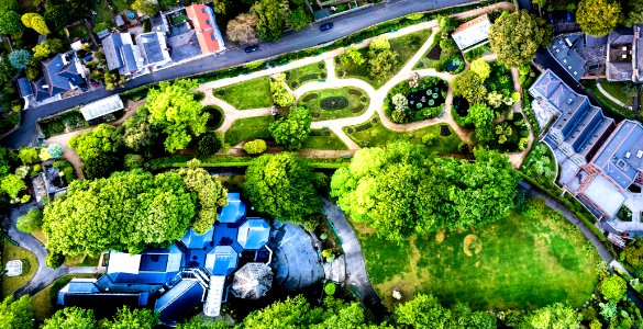 aerial photography of buildings near trees photo