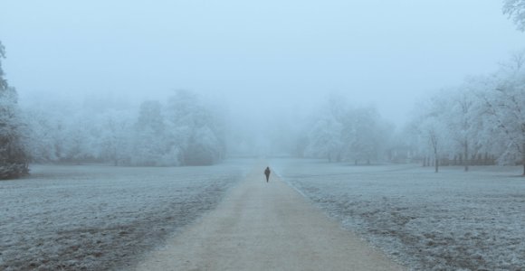 Rambouillet, France, Frost