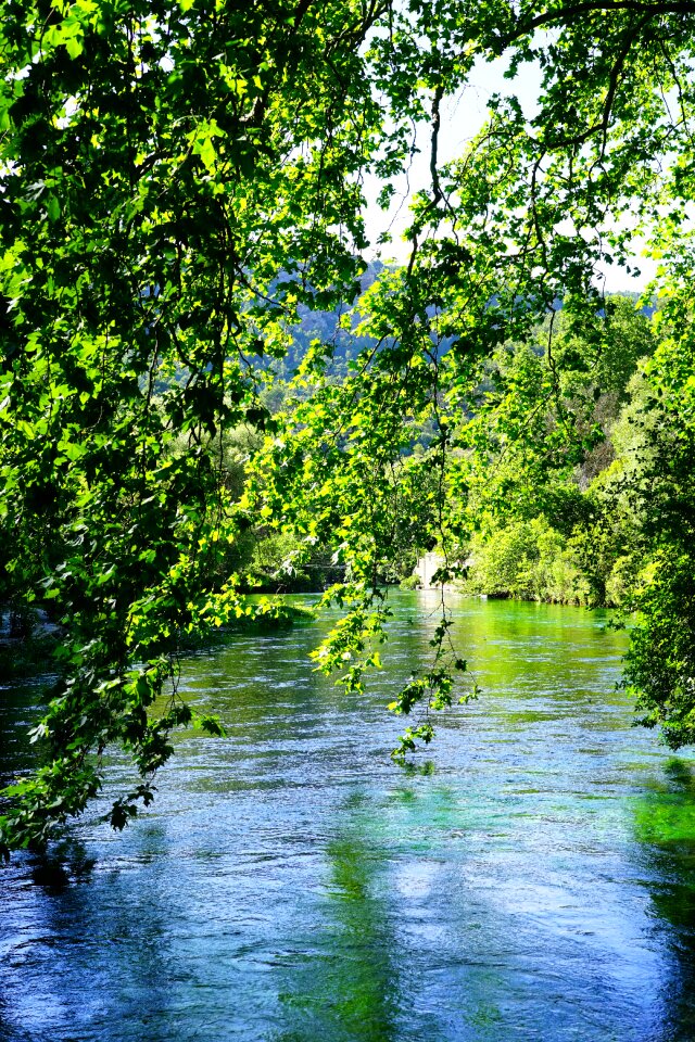 Green blue shimmer