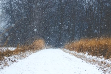 Erie metroparks, Huron, United states