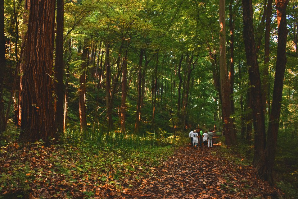 Edison woods reserve, Berlin heights, United states