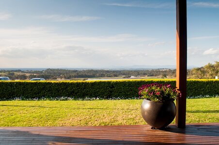Hunter valley vine rural