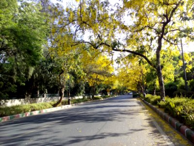 New delhi, Road, Autumn