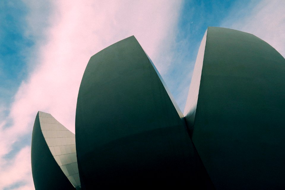 Architecture, Claw, Crab