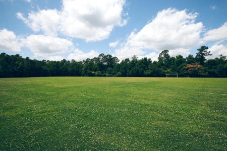 green grass field photo