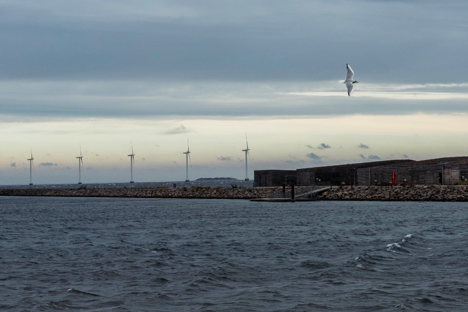 Copenhagen, Denmark, Wind