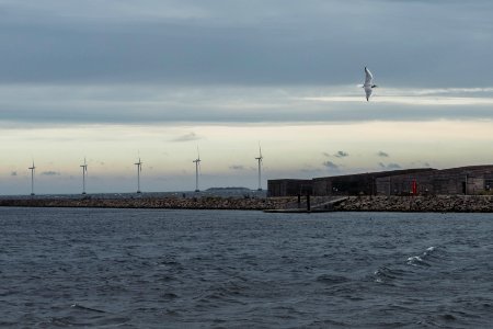 Copenhagen, Denmark, Wind