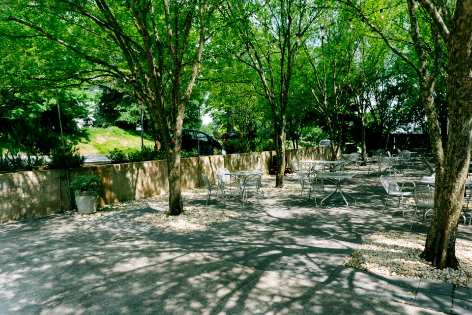 Trees, Metal, Restaurant