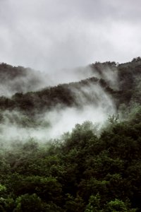 Serbia, Fog, Mountain
