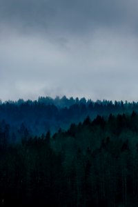mistlands with gray clouds
