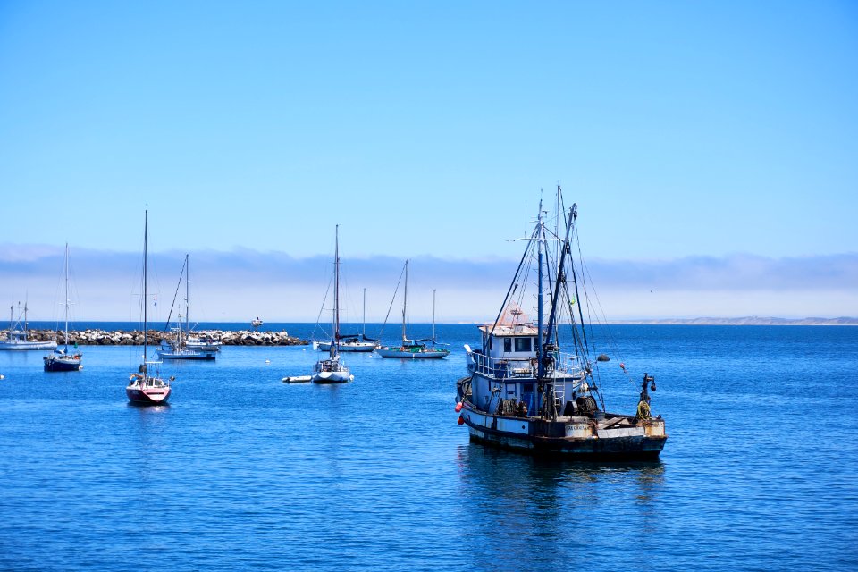 Monterey, Ocean, Monterey bay whale watch