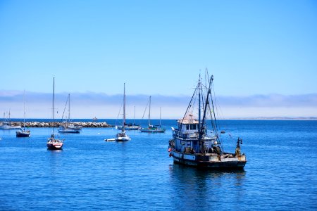 Monterey, Ocean, Monterey bay whale watch photo