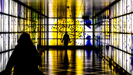 silhouette photography of person walking in room photo