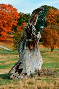 Hatfield house, Hatfield, United kingdom photo