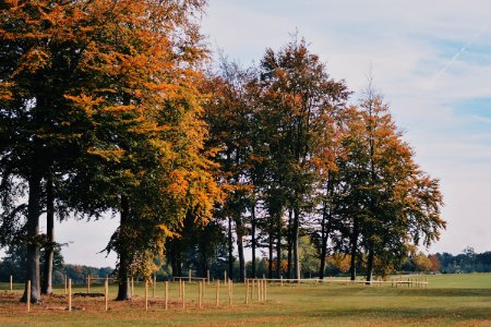 Hatfield house, Hatfield, United kingdom