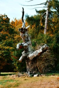 Nature, Hatfield house, Hatfield