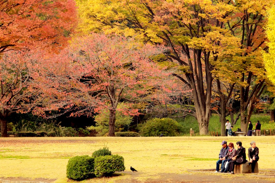 Tokyo, Japan, Autumn