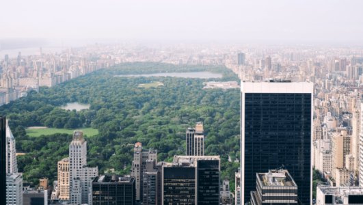 aerial photo of Central Park, New York photo