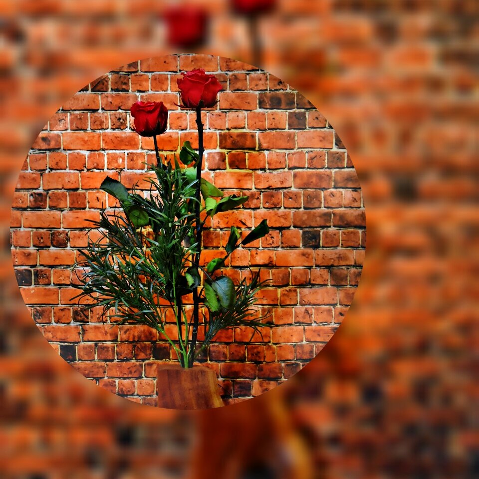 Red rose vase ball