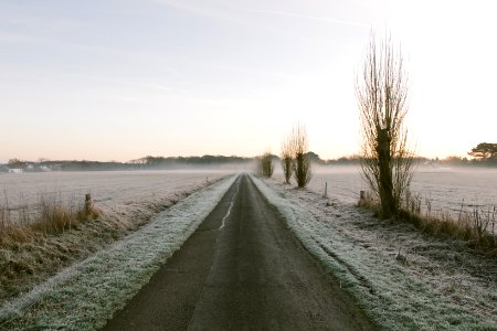 Bosham, United kingdom, Winter