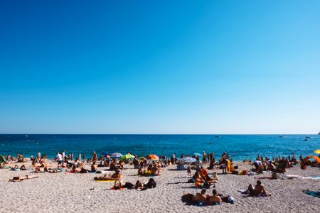 group of people enjoying the gray sanded beach with calm water during daytime