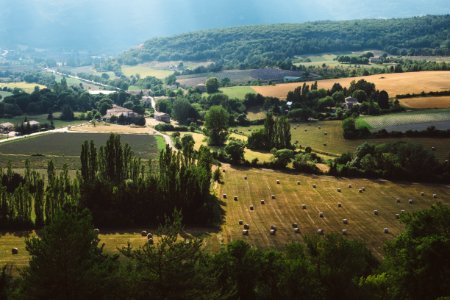 aerial view of trees and farm photo