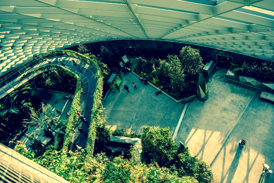 Singapore, Above, Garden