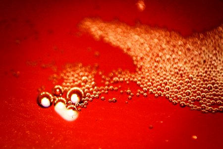 Food, Abstract, Beer