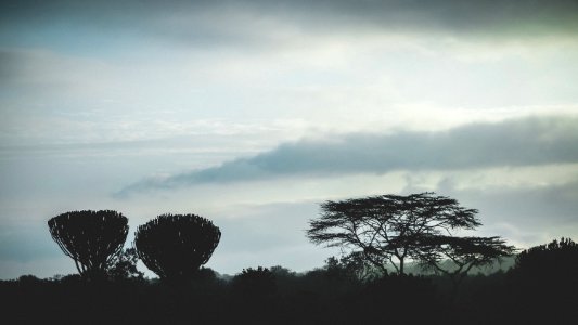Chui lodge, Kenya, Africa