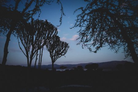 Chui lodge, Kenya, Mysterious photo