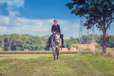 Equestrian field girl photo