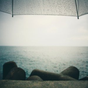 gray umbrella near body of water photo